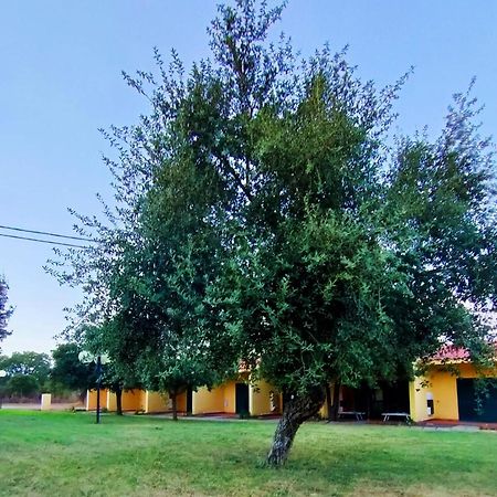 Nuraghe Ruiu Camping & Bungalow Norbello Exterior foto