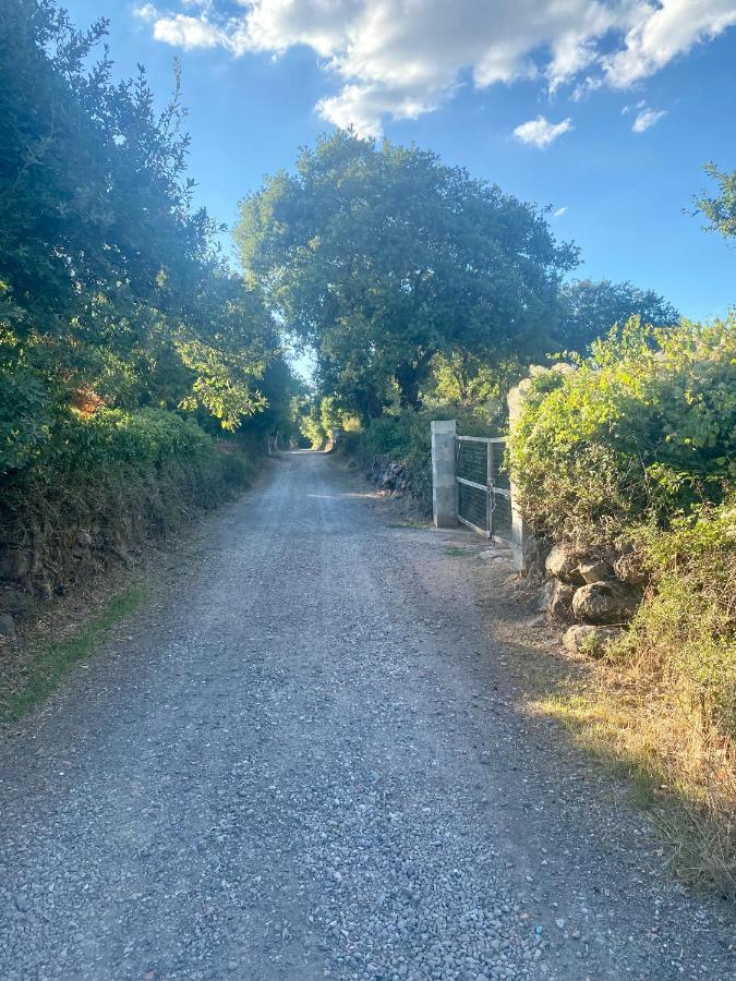 Nuraghe Ruiu Camping & Bungalow Norbello Exterior foto